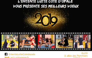 Meilleurs voeux 2019!