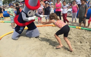 59706806befd6_beachwrestlingEiffy.jpg