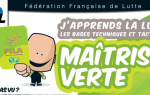 Examen maîtrises jaune orange verte