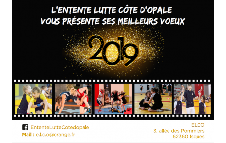 Meilleurs voeux 2019!